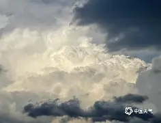 开云体育app下载-奥兰多电影混剪